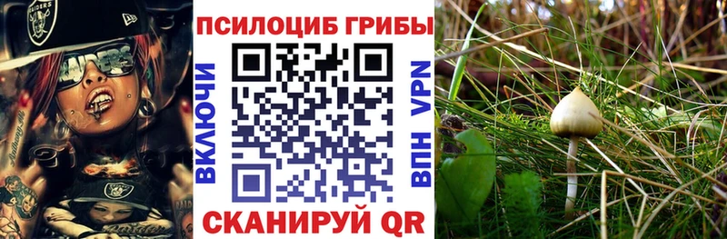 наркота  Яхрома  Галлюциногенные грибы MAGIC MUSHROOMS 